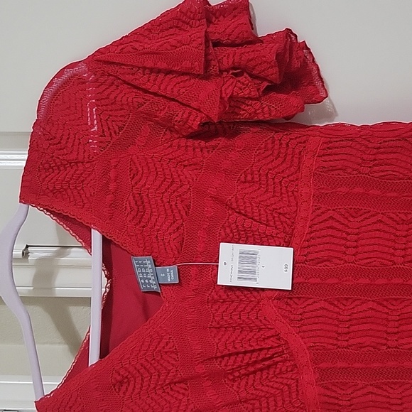 Rabbit Rabbit Rabbit Design Short Sleeve Lace Fit + Flare Dress - Picture 5 of 6